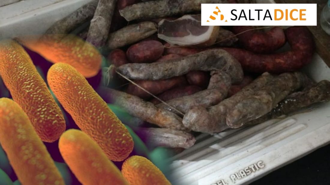 Salmonella y ahora Shigella: Las dos bacterias que mataron a dos hombres