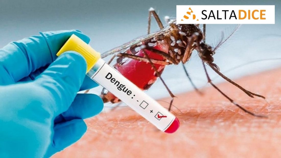De nunca acabar: Baja de Salmonelosis y COVID-19, pero Dengue en aumento.
