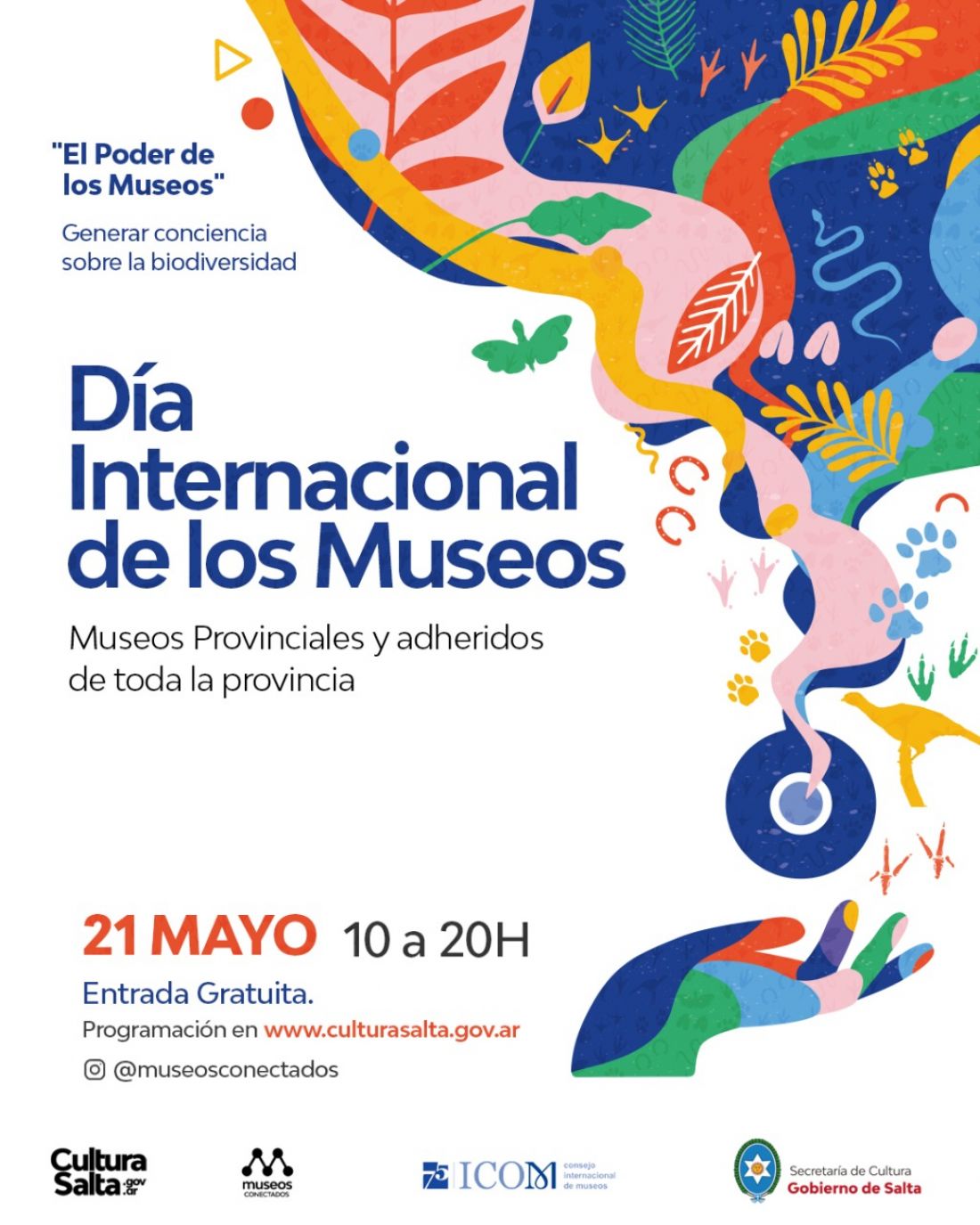Día internacional de los museos en Salta: con entrada gratis para toda la familia