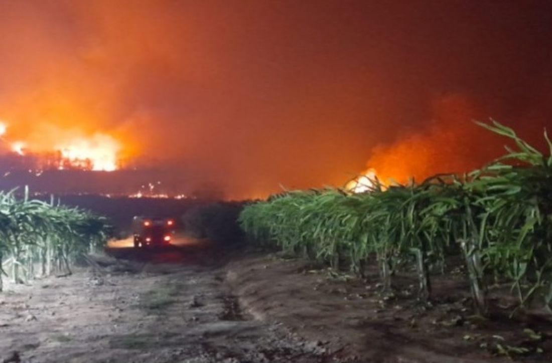 El incendio avanza en cañaverales de Yuto, Jujuy