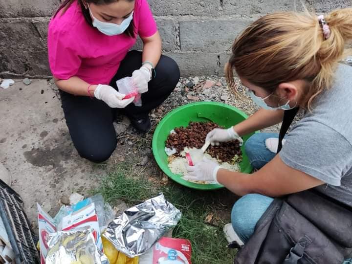 Profesionales investigan la fuente de la intoxicación