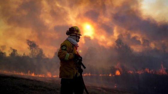 Los incendios se reactivaron y arrasan las yungas de Salta y Jujuy