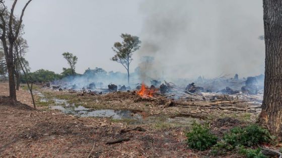 No les importa nada : hubo al menos cinco incendios intencionales en La Caldera y Vaqueros
