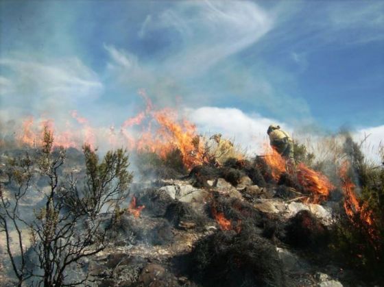 Buscan crear una ''Mesa Provincial Ambiental'' vinculada a los incendios en Salta