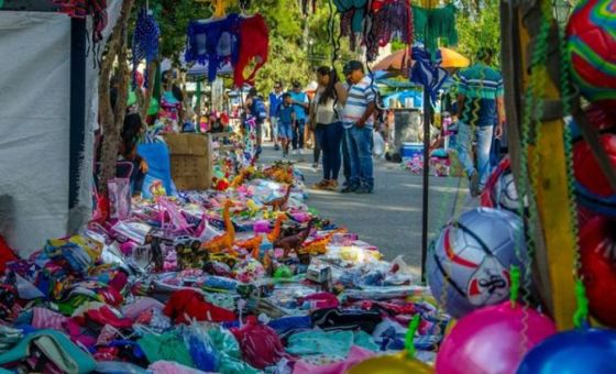 Puesteros del Parque: Mientras Bettina decide esta semana si vetara la Ordenanza, surgen opiniones a favor y en contra