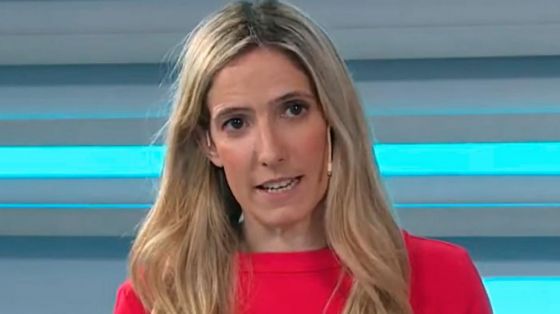 Mafia judicial en Lago Escondido: el juez Ercolini intentó convencer a una periodista para que difunda su versión