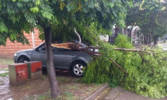 Destrozos en la ciudad por la tormenta de hoy a la madrugada