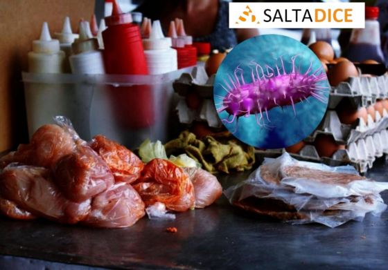 El 80% de los casos de Salmonella en el país, son de Salta