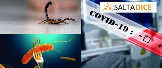 Primera semana del año en Salta: entre Salmonella, COVID-19 y alacranes