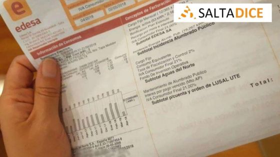 Suspensión del cobro de factura: El Ente Regulador auditará a EDESA
