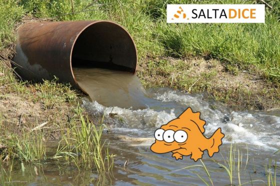 Otra vez Aguas del Norte: la empresa fue multada por contaminación en el Río Arenales