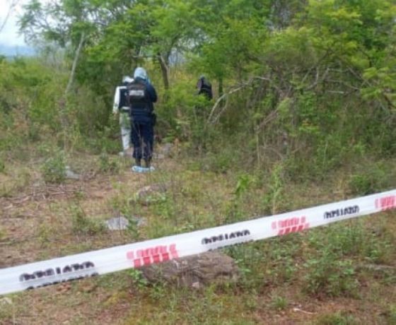 Encontraron un bebé muerto en un baldío: habría sido arrojado por su madre desde la ventana