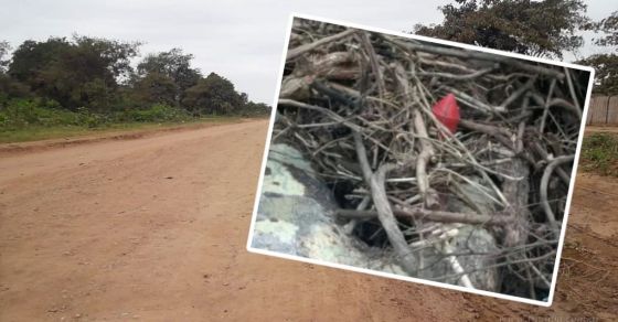El norte, un campo minado: aparecieron explosivos en la Ruta 86