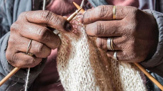 Salta tendrá la primera hilandería de lana natural en serie