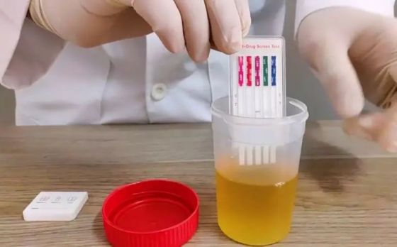 Ley de ''Coherencia'' para funcionarios públicos: proponen test antidoping para representantes de los tres poderes