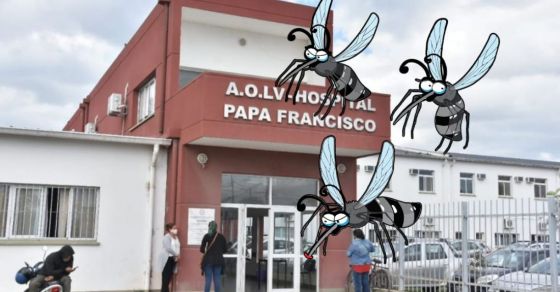 Brote de dengue: casi 300 casos en  el Hospital Papa Francisco