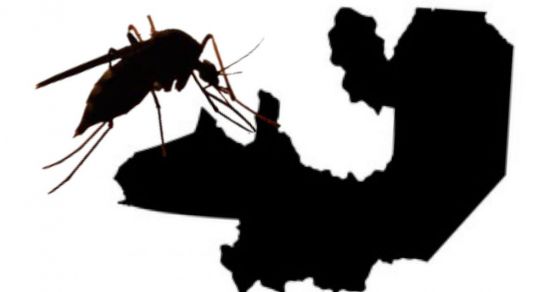 Salta ya tiene 54 mil contagios confirmados de Dengue, y el país se posiciona con una epidemia histórica
