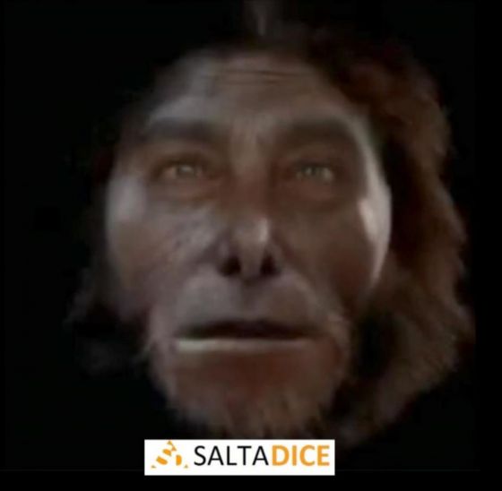 Milei propone terminar con la educación pública obligatoria de nivel primario y secundario