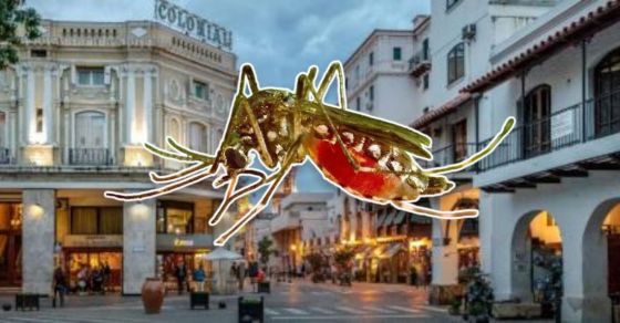 Salta ya tiene 8 mil casos confirmados de Dengue. La cifra aumenta cada hora, y sigue siendo la provincia con más contagios