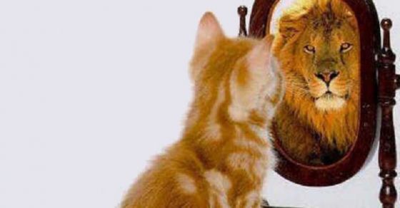 Debate Presidencial: ''Si me dan 35 años podríamos ser como EEUU''