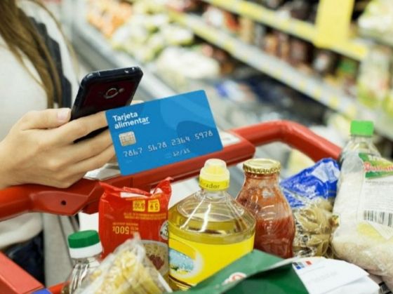 ANSES: la Tarjeta Alimentar permitirá comprar todo tipo de productos