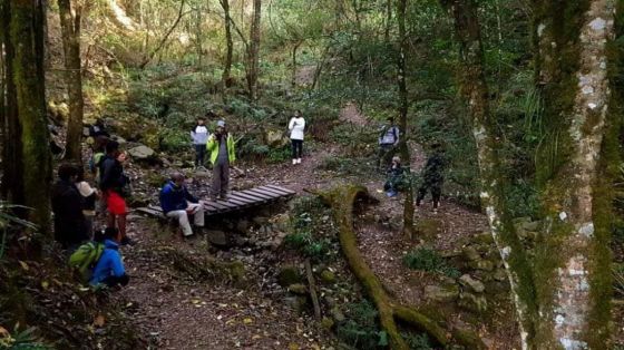 Peritaron el grave daño de Las Yungas para la construcción de un barrio privado en San Lorenzo
