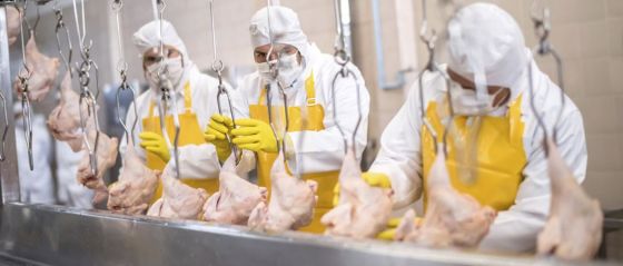 Japón reactivó el acuerdo con Argentina y se volverá a exportar carne, ovoproductos y subproductos aviares