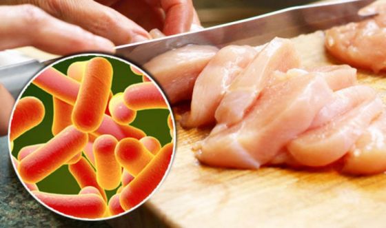 Otra vez la salmonelosis es masiva en Salta