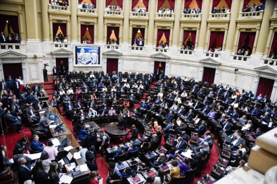 Se dieron vuelta: los diputados "peronistas" de Saenz apoyaran la ley omnibus
