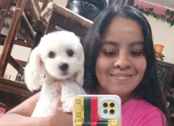 Salta: sin atención medica falleció Karina Cisnero con un cuadro de Dengue