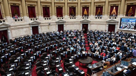 Polémica con la Ley Bases: votos mutantes y amenaza de judicialización