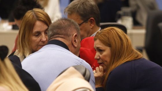 Pusilánimes: el radicalismo pidió sesión para reponer el FONID y luego la bajó