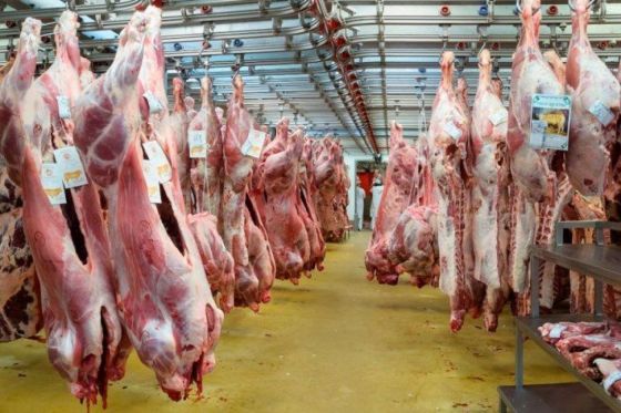 Carne: flexibilizan exportaciones y mantienen restricciones para cortes populares