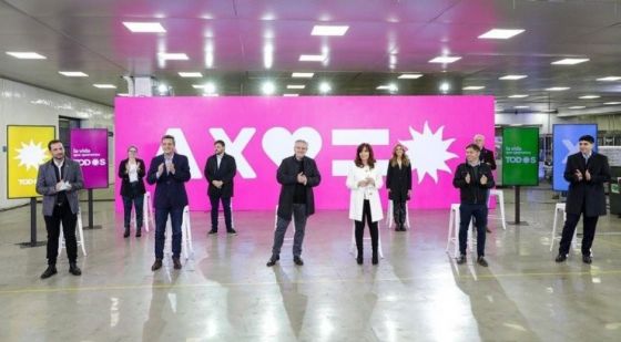 Quienes son los precandidatos para las PASO en cada provincia