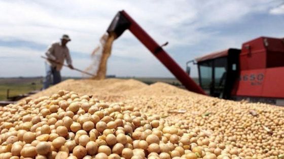 El Gobierno nacional cerró la exportación de harinas y aceites de soja