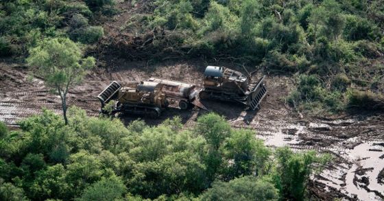 ¿Frenarán los desmontes? Salta recibirá casi 1.000 millones de pesos para la conservación de los bosques