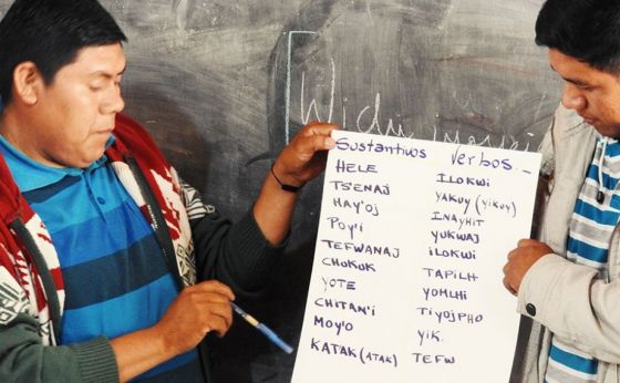 El primer diccionario Wichí-Castellano en línea fue publicado por el CONICET