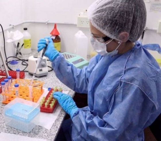 salta salud reporte covid19 coronavirus pandemia