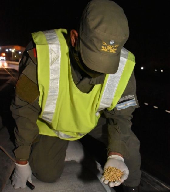 El bagayeo VIP en la 34 no para: ahora incautaron 30 toneladas de soja sin documentación