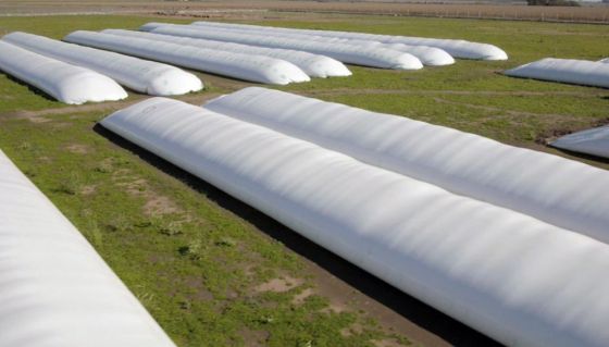 Massa anunció un nuevo dólar soja de $ 200 para el campo