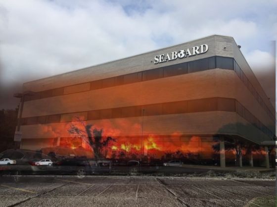 La justicia investiga el incendio de Orán por "Posible Estrago Forestal"