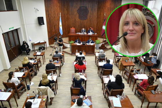 Amplio repudio a la diputada que se opuso a la Ley de Memoria y Justicia
